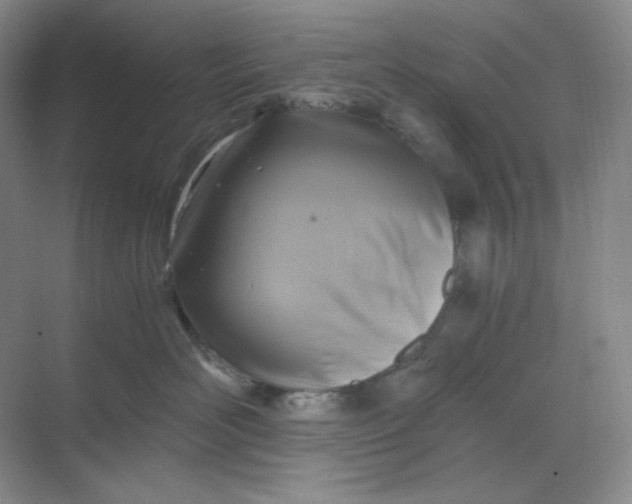 X0000068810526200605191810