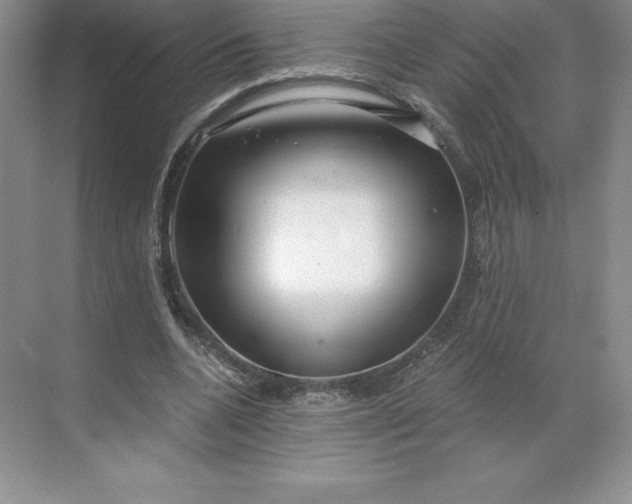 X0000068810536200605191809
