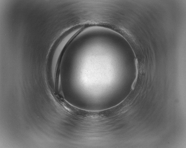 X0000068810540200605191809