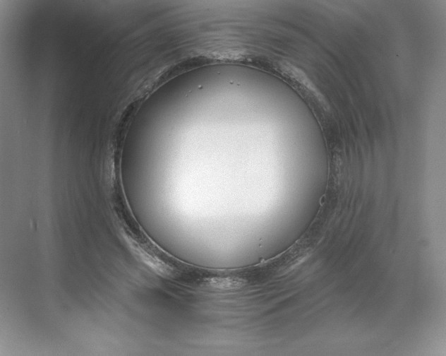 X0000068810541200605191809