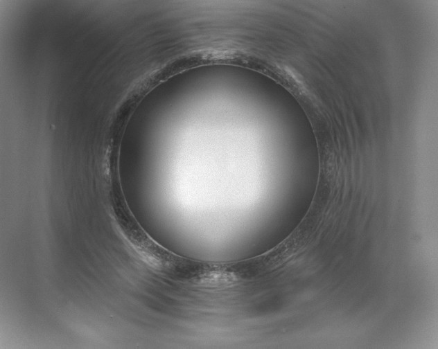 X0000068810543200605191810
