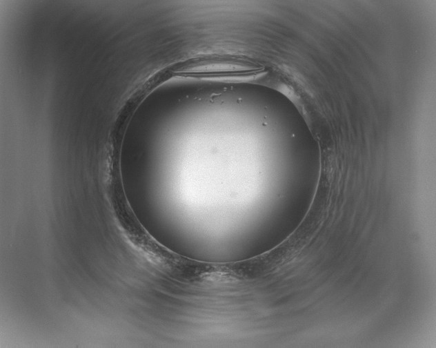 X0000068810544200605191810