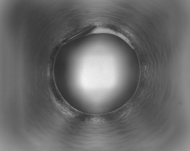 X0000068810546200605191810