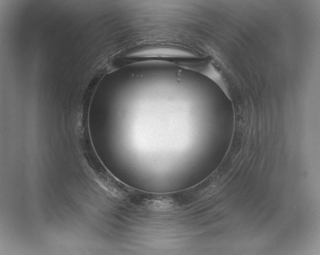 X0000068810548200605191810