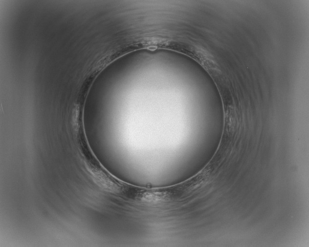 X0000068810550200605191810