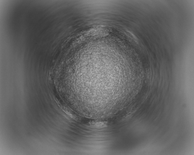 X0000068810553200605191810