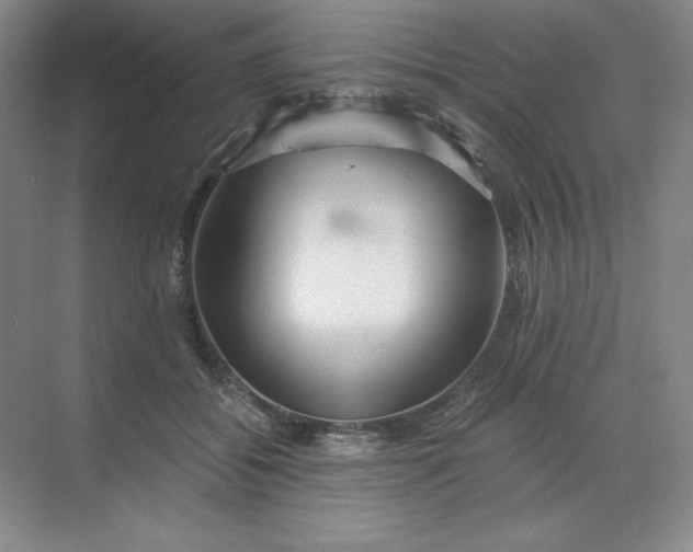 X0000068810556200605191810