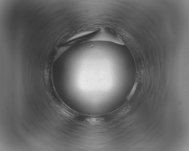 X0000068810558200605191810