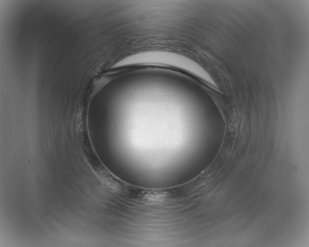 X0000068810560200605191810