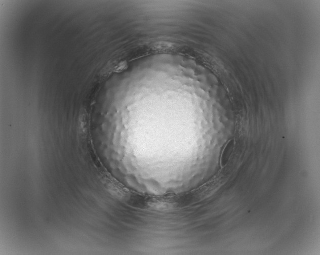 X0000068810561200605191810