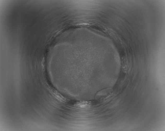X0000068810563200605191810