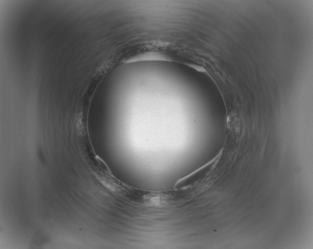 X0000068810564200605191810