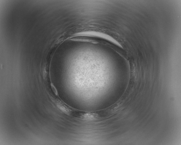 X0000068810566200605191810