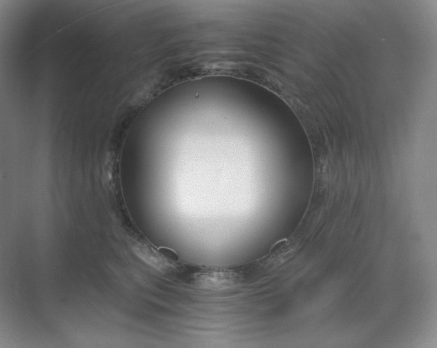 X0000068810567200605191810
