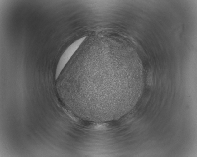 X0000068810569200605191810