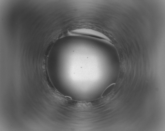 X0000068810571200605191810