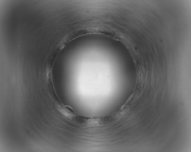 X0000068810574200605191810