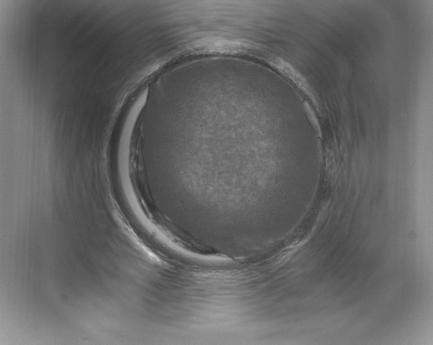 X0000068810581200605191809