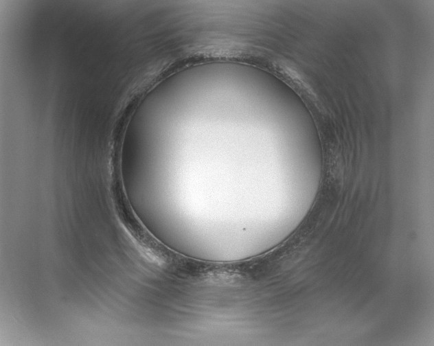 X0000068810586200605191809