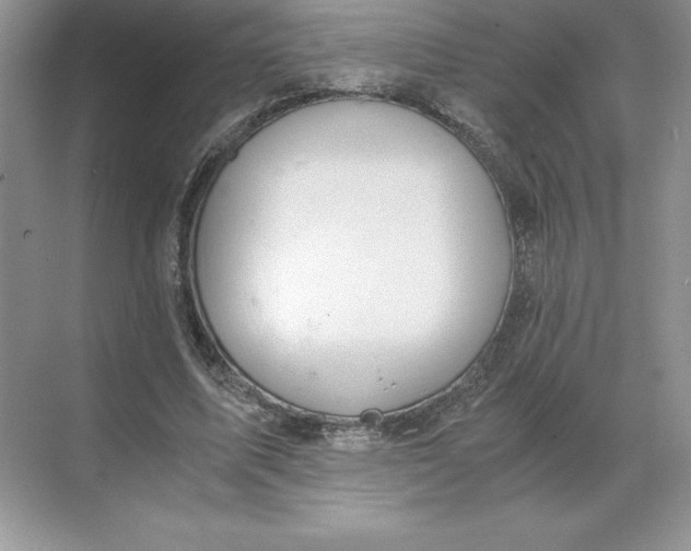 X0000068810587200605191809