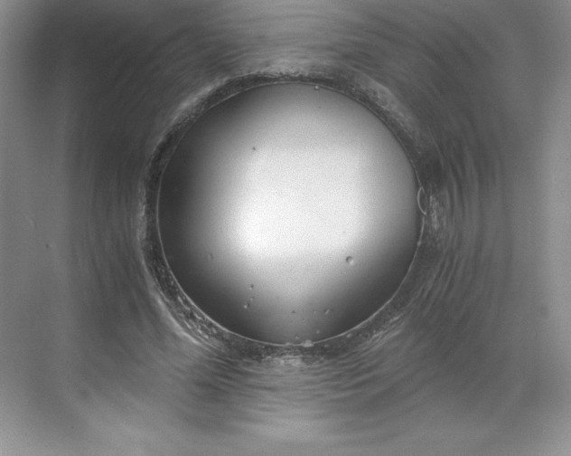 X0000068810588200605191809