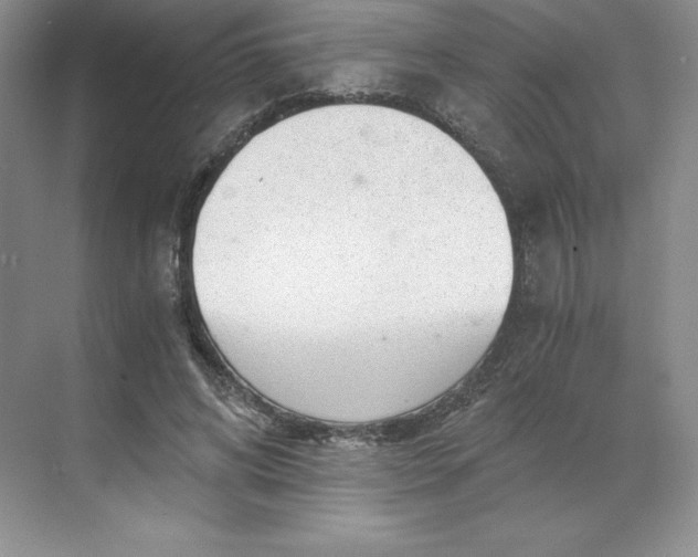 X0000068810592200605191809
