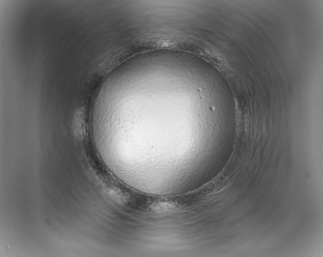 X0000068810594200605191809