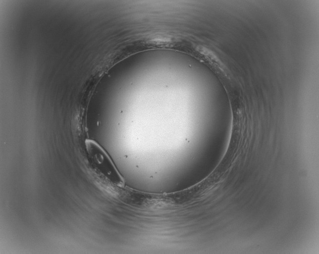 X0000068810597200605191809