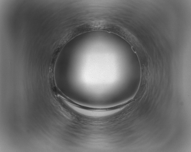 X0000068810601200605191809