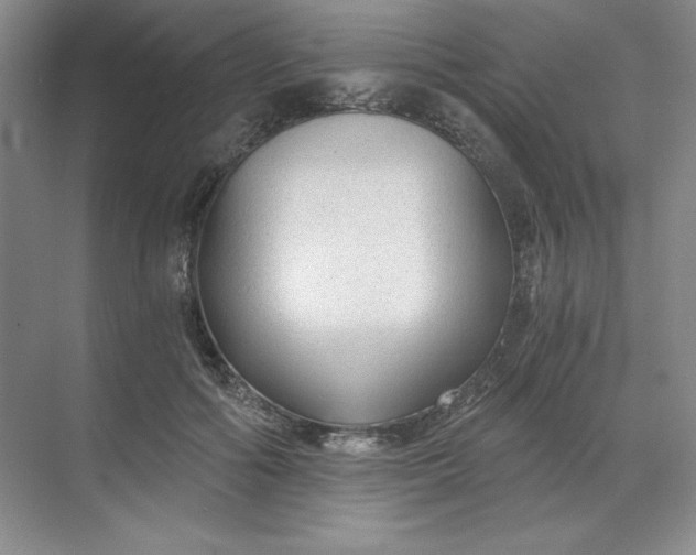 X0000068810602200605191809