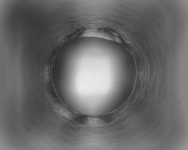 X0000068810605200605191809