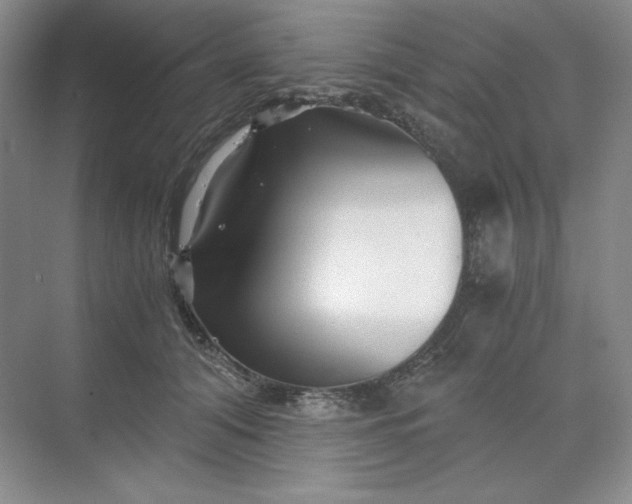 X0000068810608200605191809