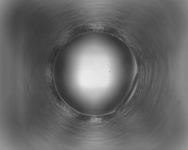 X0000068810609200605191809