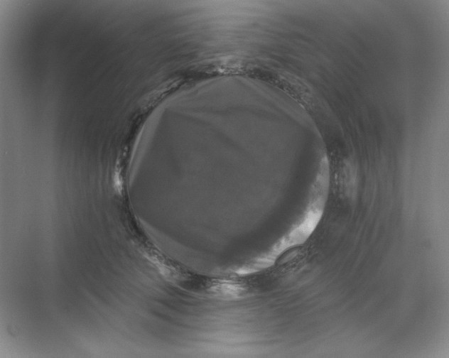 X0000068810610200605191809