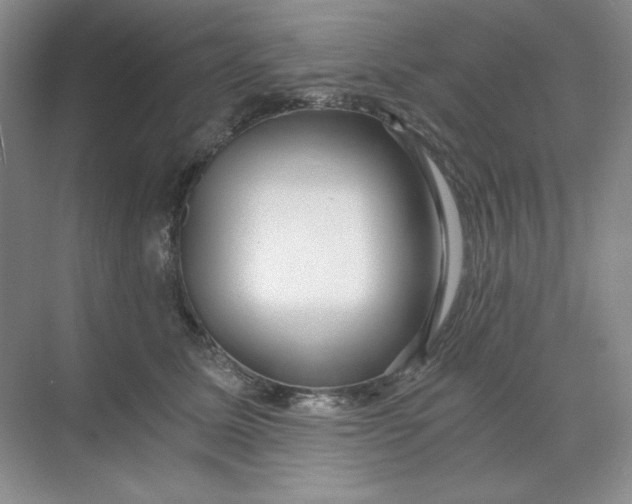 X0000068810611200605191809