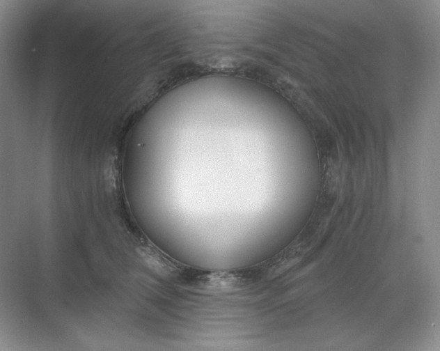 X0000068810612200605191809