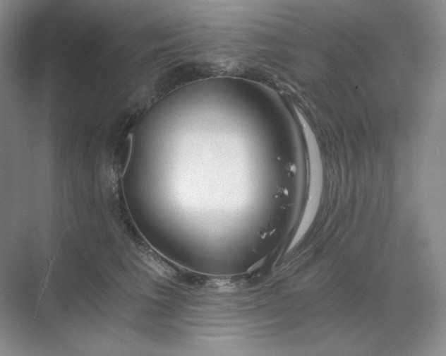 X0000068810613200605191809