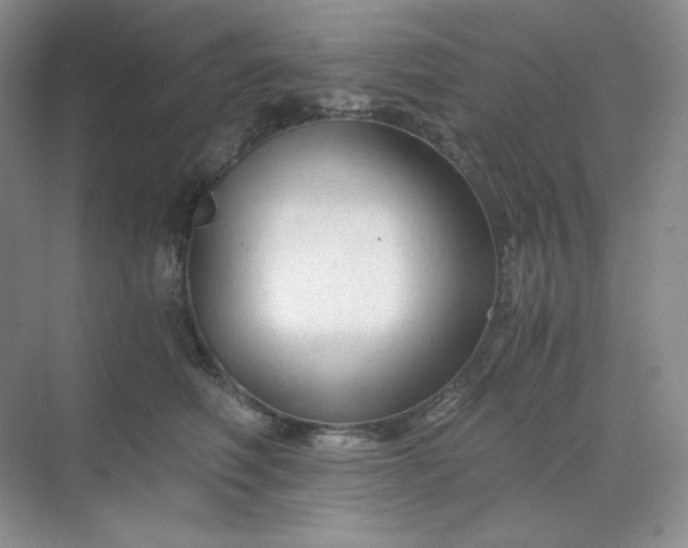 X0000068810614200605191809