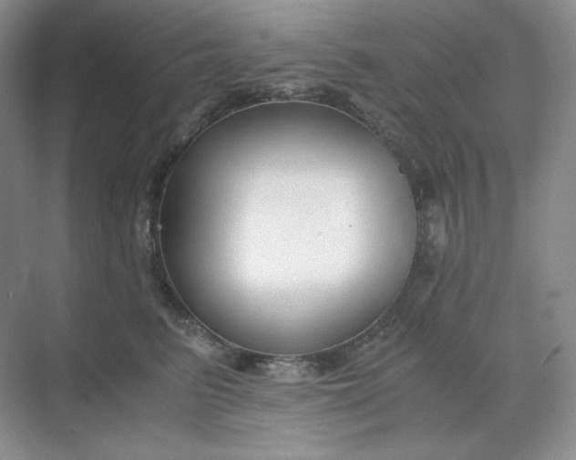 X0000068810615200605191809