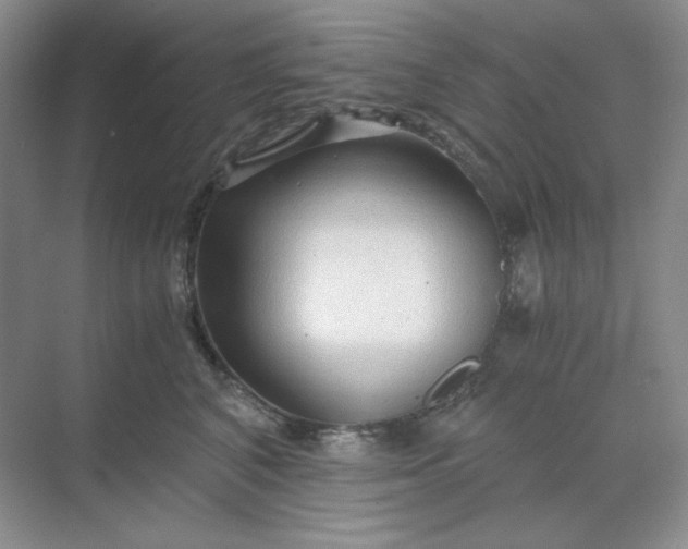 X0000068810616200605191809