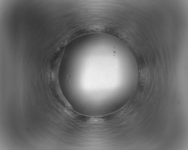 X0000068810617200605191809