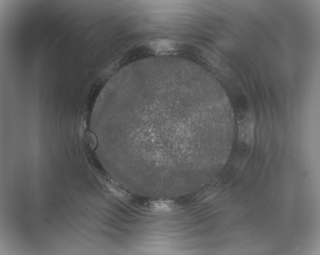 X0000068810618200605191809