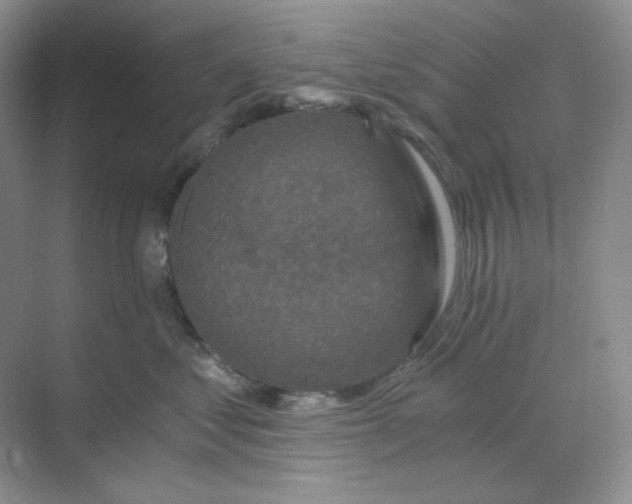X0000068810621200605191809