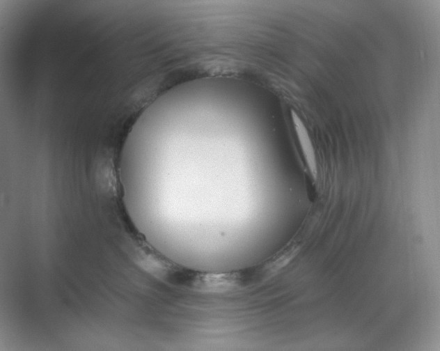 X0000068810622200605191808