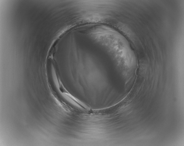 X0000068810626200605191808