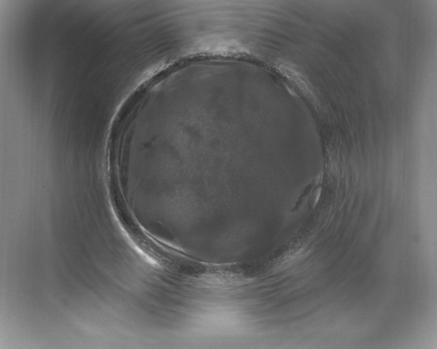 X0000068810630200605191808