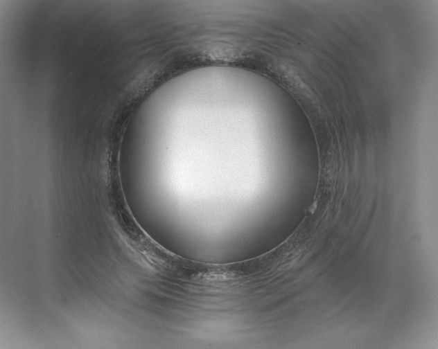 X0000068810639200605191808