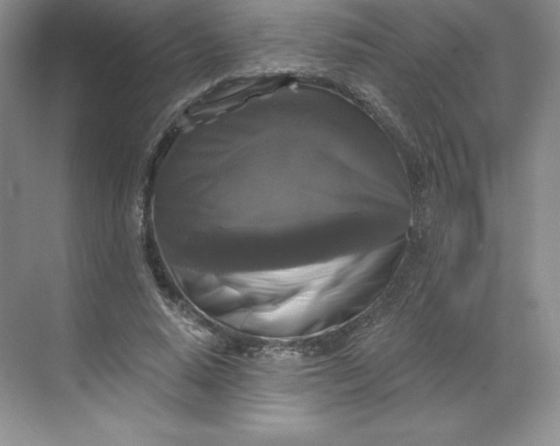 X0000068810640200605191808