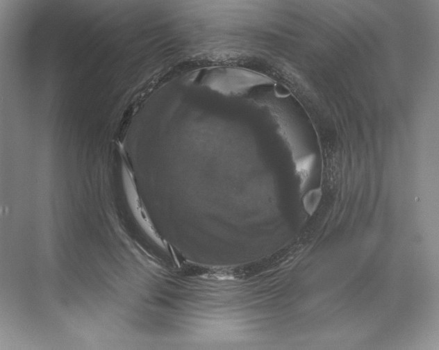 X0000068810644200605191808