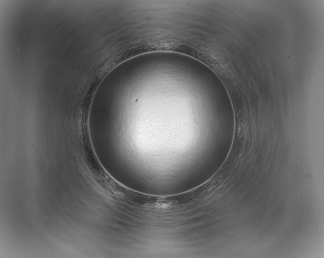 X0000068810647200605191808